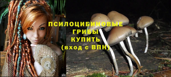 марки nbome Горнозаводск