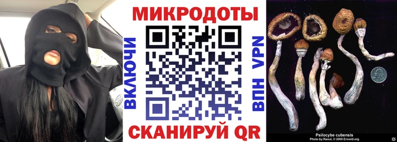 Псилоцибиновые грибы Magic Shrooms  магазин  наркотиков  гидра ТОР  Рошаль 